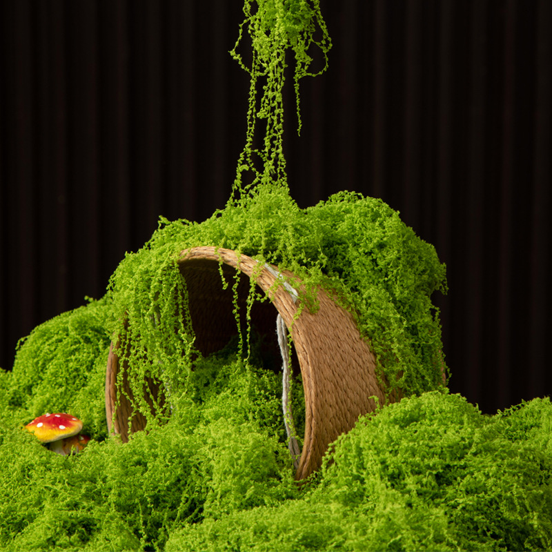 200g Eternal Life Moss DIY Cra - đánh giá và giá Sphagnum Moss Dry