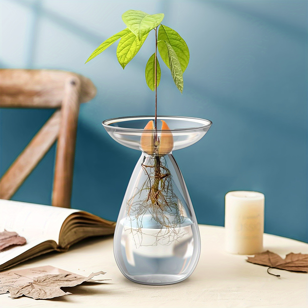 Avocado Seed Starter Vase Tran - đánh giá và giá Propagation Station Vase