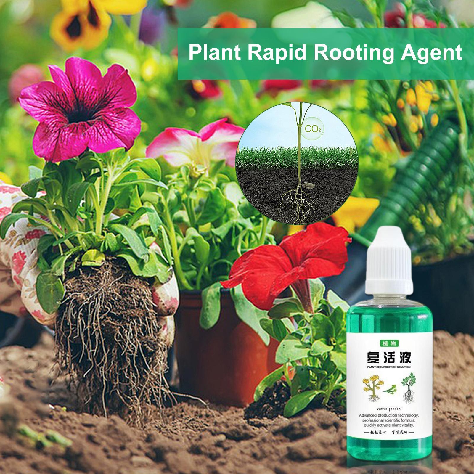 Root Stimulator For Plants 50m - đánh giá và giá Root Stimulator Liquid