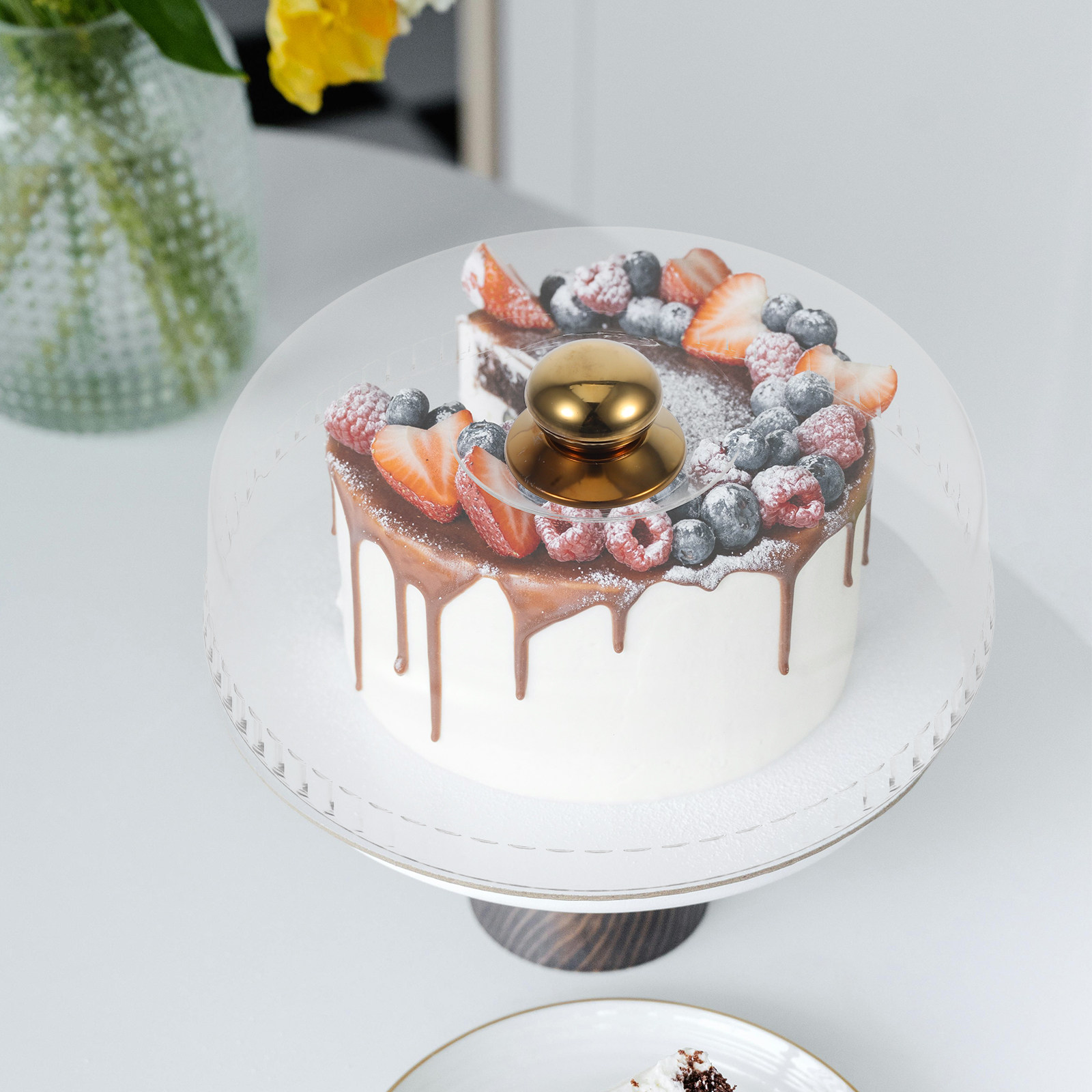 30Cm Clear Acrylic Cake Dome C - đánh giá và giá Plastic Dome Clear