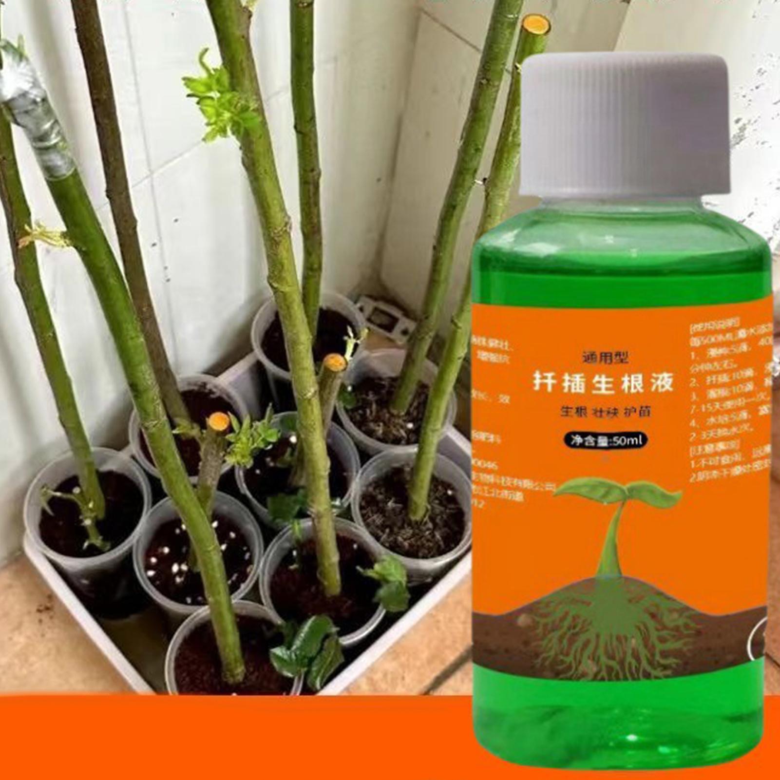 High-Efficiency Root Stimulato - đánh giá và giá Root Stimulator Liquid