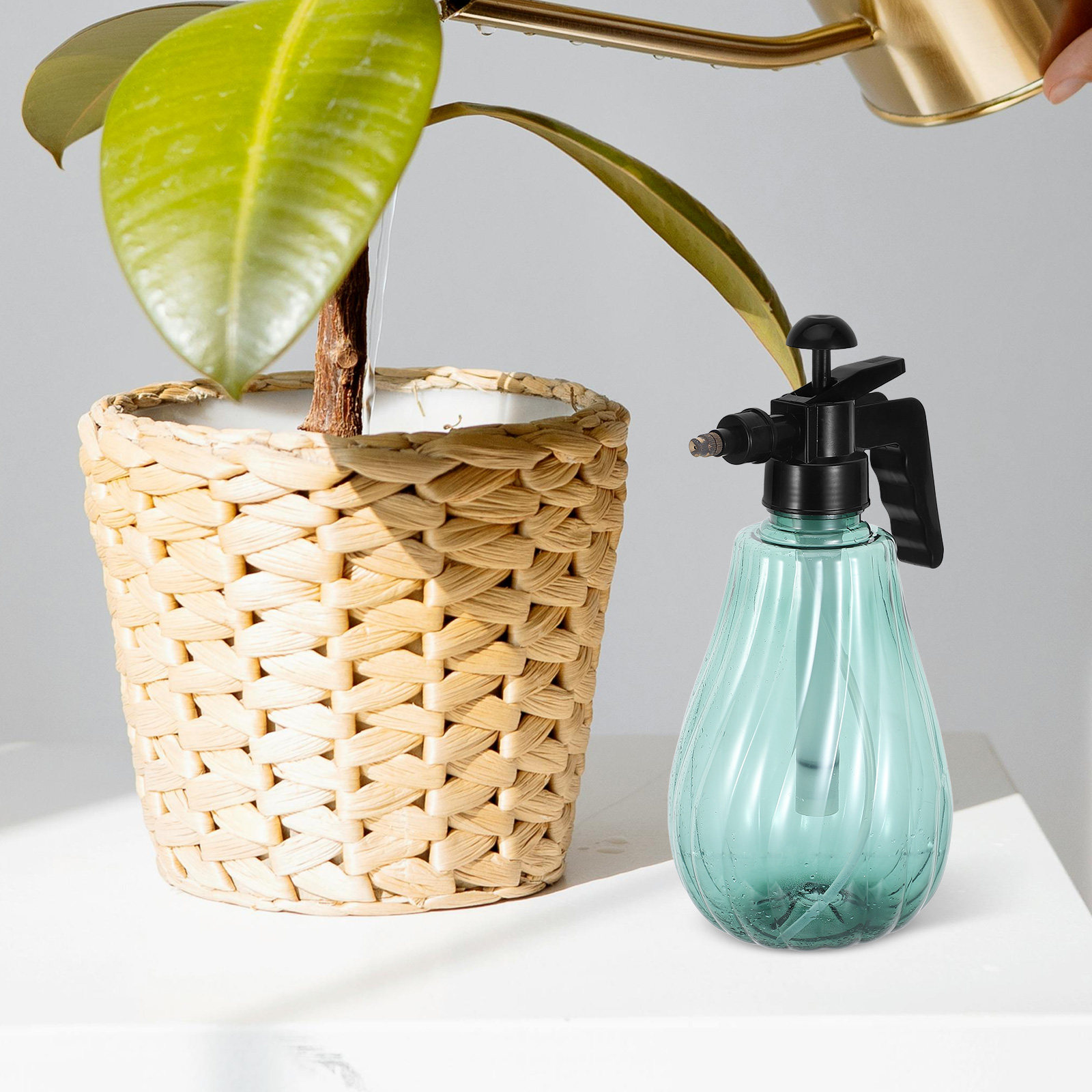 Handheld Garden Sprayer Green  - đánh giá và giá Misting Bottle Fine