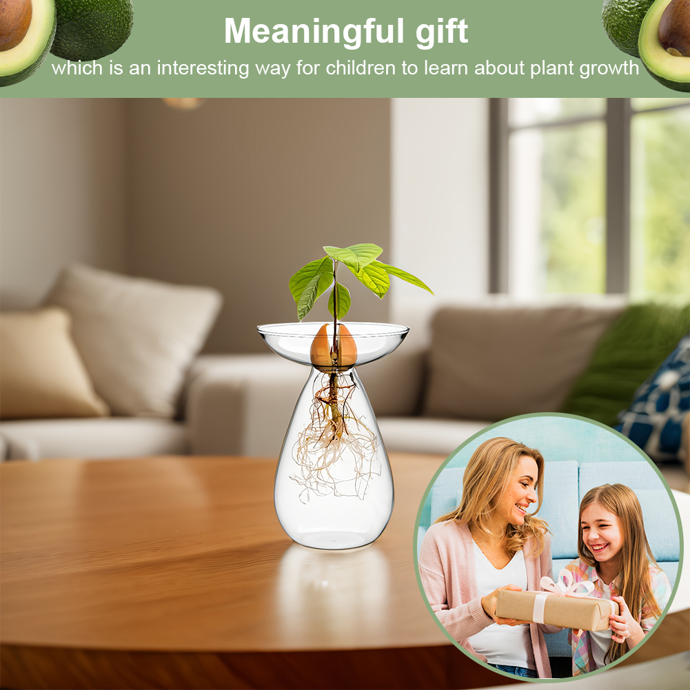 Avocado Seed Starter Vase Tran - đánh giá và giá Propagation Station Vase