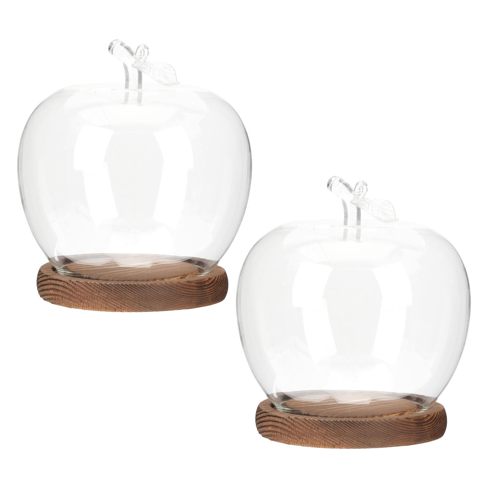 2Pcs Glass Cloche Dome with Wo - đánh giá và giá Plastic Dome Clear