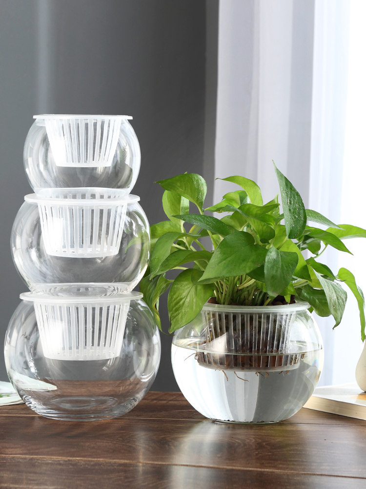 Hydroponic Glass Vase Glass Gr - đánh giá và giá Propagation Station Vase
